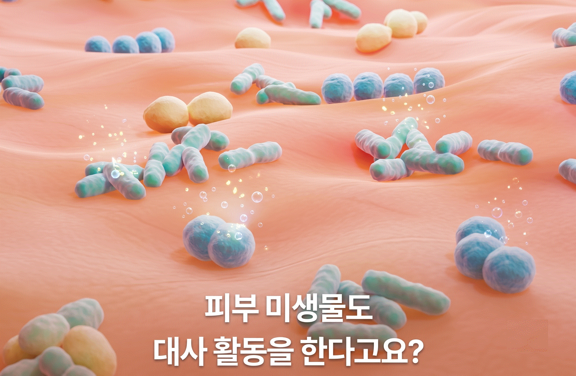 Skin ecosystem